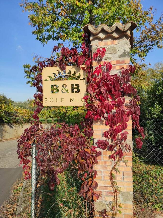 B&B Sole Mio Веллетрі Екстер'єр фото